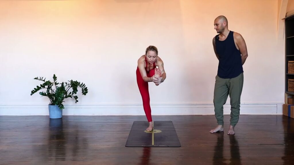 Standing Head to Knee (Utthita Janusirsasana)